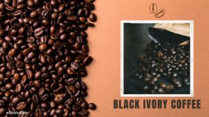 Most Expensive Coffee Black Ivory Coffee