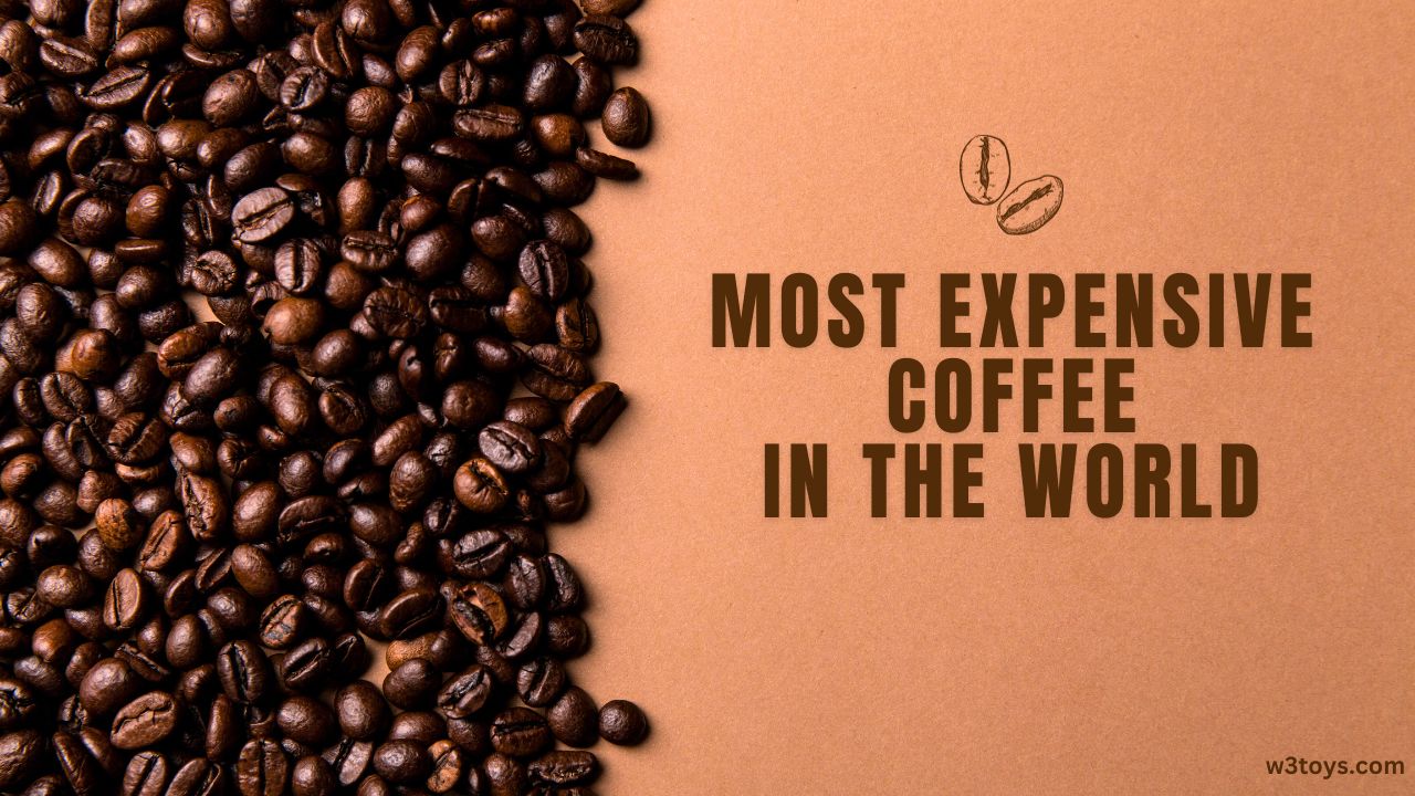 Most Expensive Coffee in the World 2023