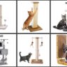 7 Best Cat Scratching Posts of 2024: Ensuring Your Feline's Happiness and Home Harmony