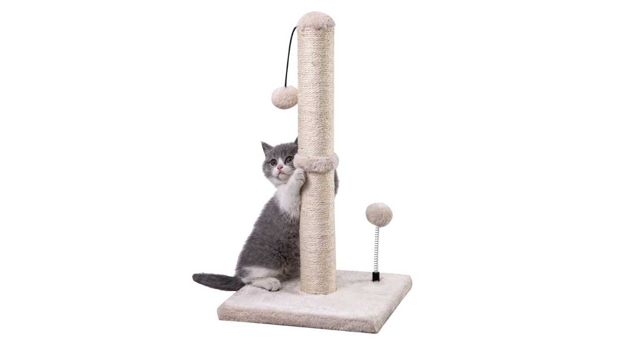 MECOOL Cat Scratching Post Review 2024