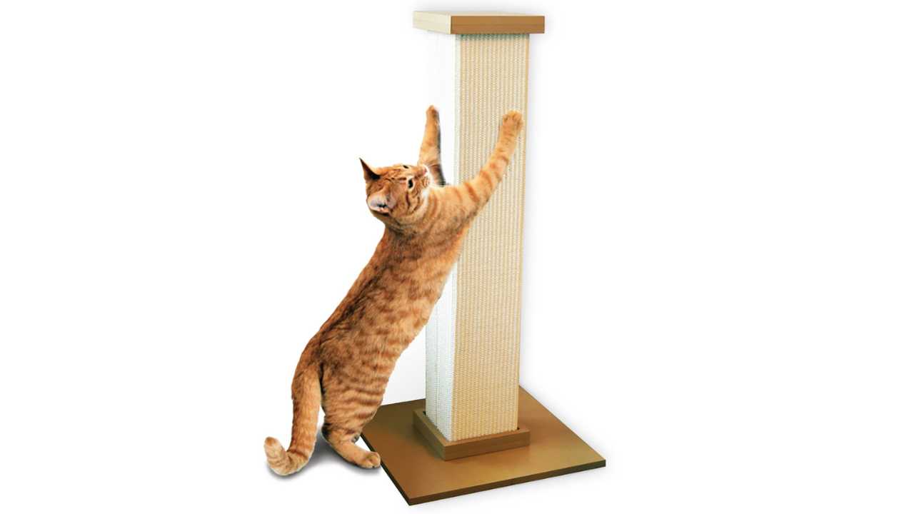 SmartCat Ultimate Scratching Post Review 2024